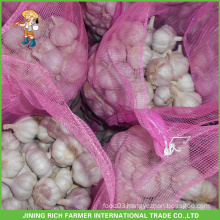 Jinxiang 4.5CM 11Kg Mesh Bag Fresh Red Garlic For Haiti